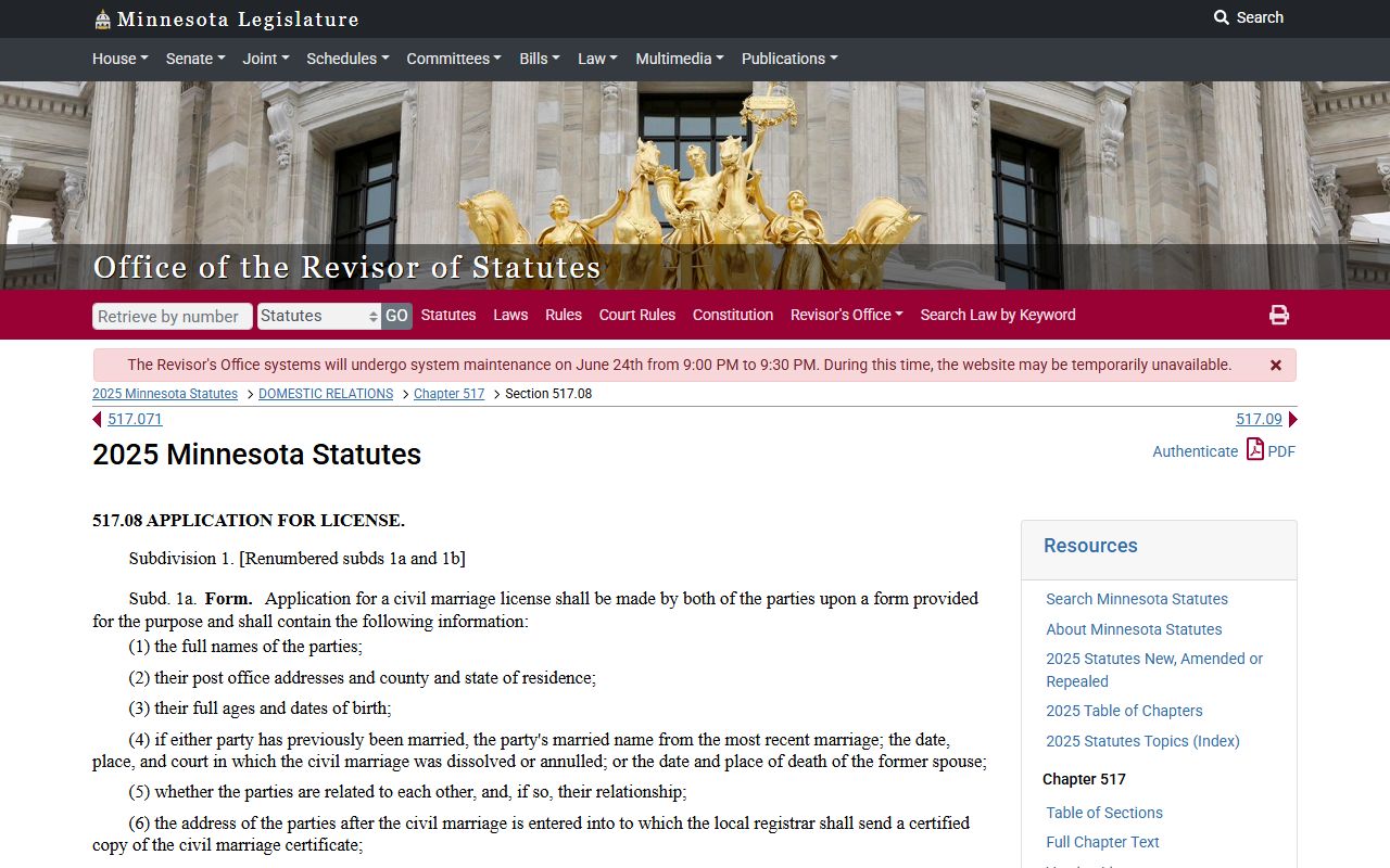 Marriage license application statute.